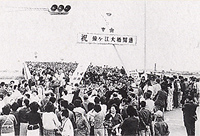 1981